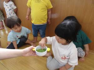 Img 4954