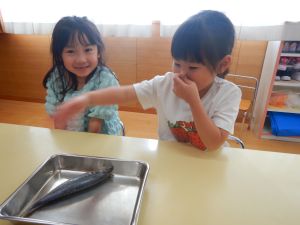 Dscn9466