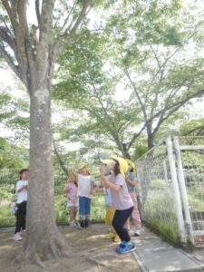 Dscn0093